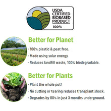 Cargar imagen en el visor de la galería, Streambank Violeta